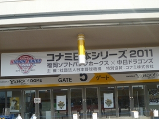 P1000516.jpg