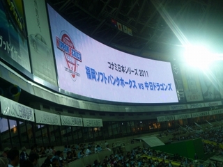 P1000519.jpg