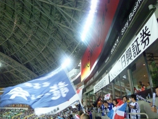 P1000527.jpg